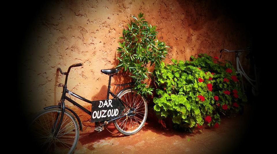 Dar Ouzoud Vegan Cascatas de Ouzoud Exterior foto